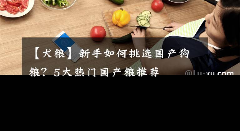 【犬粮】新手如何挑选国产狗粮？5大热门国产粮推荐