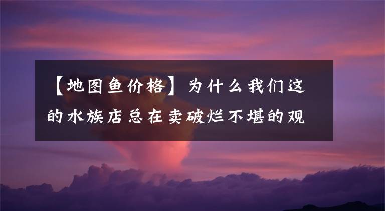 【地图鱼价格】为什么我们这的水族店总在卖破烂不堪的观赏鱼，好鱼都哪去了？