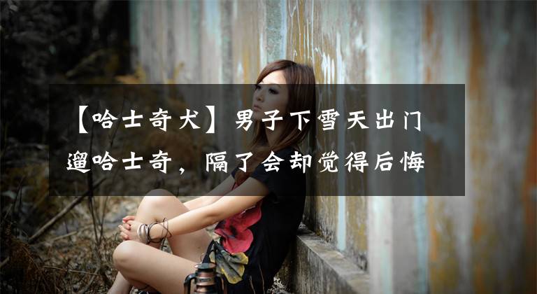 【哈士奇犬】男子下雪天出门遛哈士奇，隔了会却觉得后悔：多少有些想不开呀