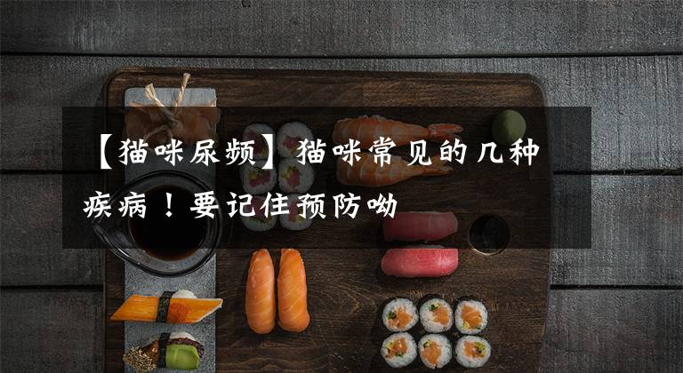【猫咪尿频】猫咪常见的几种疾病！要记住预防呦