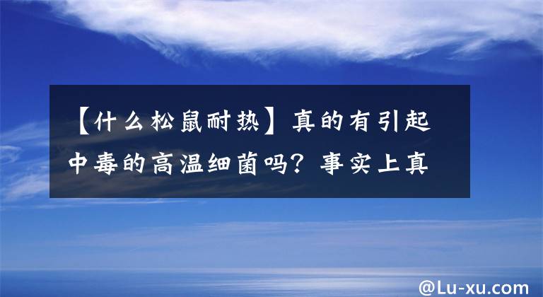 【什么松鼠耐热】真的有引起中毒的高温细菌吗？事实上真相是