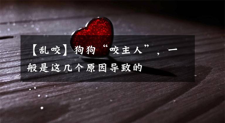 【乱咬】狗狗“咬主人”，一般是这几个原因导致的