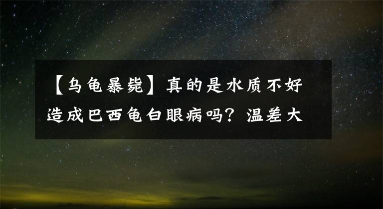 【乌龟暴毙】真的是水质不好造成巴西龟白眼病吗？温差大或许才是真的罪魁祸首