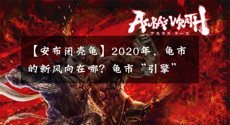 【安布闭壳龟】2020年，龟市的新风向在哪？龟市“引擎”是变异巴西龟和火焰龟？