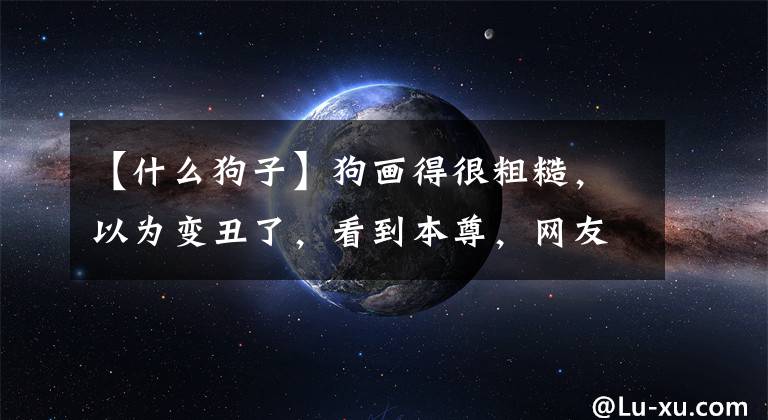 【什么狗子】狗画得很粗糙，以为变丑了，看到本尊，网友：我错了