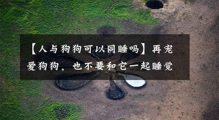 【人与狗狗可以同睡吗】再宠爱狗狗，也不要和它一起睡觉，否则对它对你都不好！
