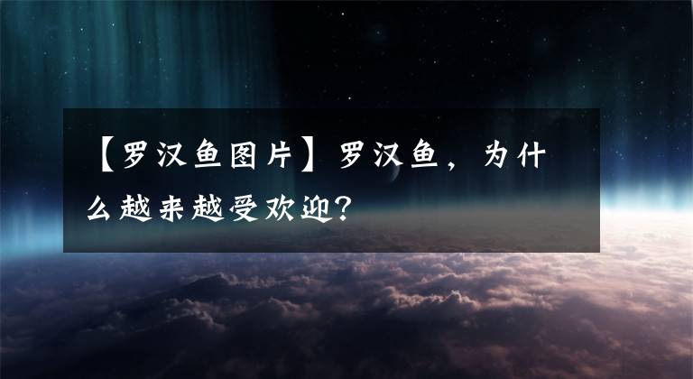 【罗汉鱼图片】罗汉鱼，为什么越来越受欢迎？