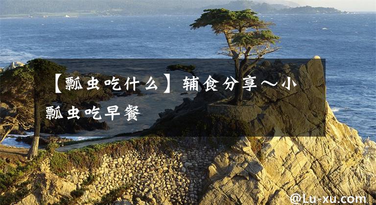 【瓢虫吃什么】辅食分享～小瓢虫吃早餐