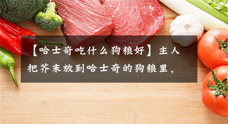 【哈士奇吃什么狗粮好】主人把芥末放到哈士奇的狗粮里，结果二哈的反应亮了，不科学啊
