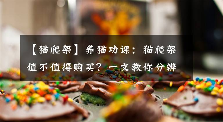 【猫爬架】养猫功课：猫爬架值不值得购买？一文教你分辨猫爬架的功能和结构