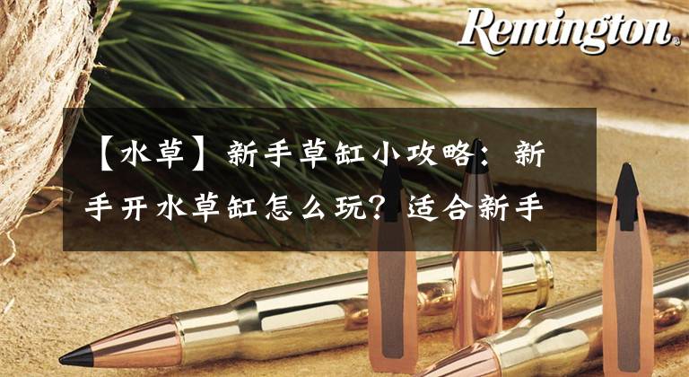 【水草】新手草缸小攻略：新手开水草缸怎么玩？适合新手养的水草有哪些？