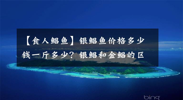 【食人鲳鱼】银鲳鱼价格多少钱一斤多少？银鲳和金鲳的区别
