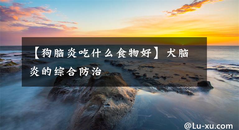 【狗脑炎吃什么食物好】犬脑炎的综合防治