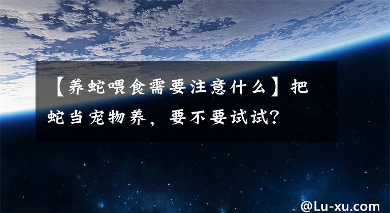 【养蛇喂食需要注意什么】把蛇当宠物养，要不要试试？