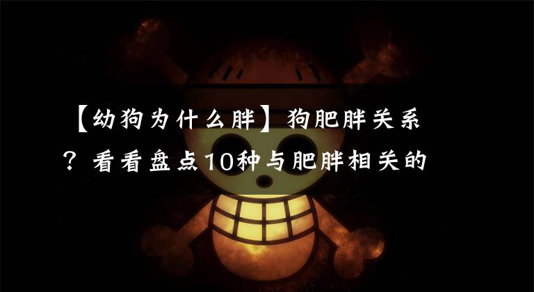 【幼狗为什么胖】狗肥胖关系？看看盘点10种与肥胖相关的疾病，不带狗减肥。(威廉莎士比亚，肥胖，肥胖，肥胖，肥胖，肥胖)