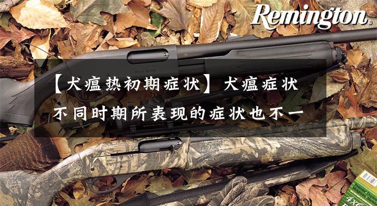 【犬瘟热初期症状】犬瘟症状 不同时期所表现的症状也不一样