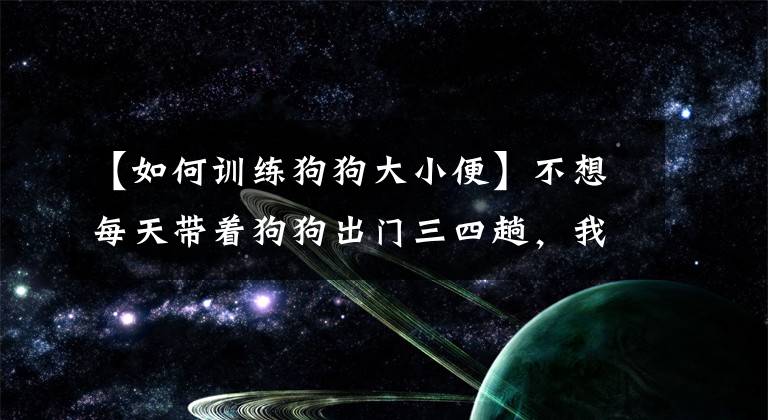 【如何训练狗狗大小便】不想每天带着狗狗出门三四趟，我们该如何训练狗狗进行定点大小便