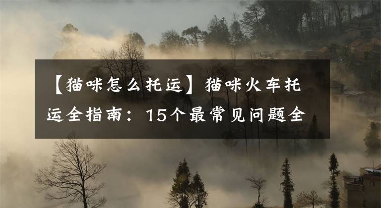 【猫咪怎么托运】猫咪火车托运全指南：15个最常见问题全解答