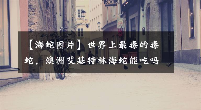 【海蛇图片】世界上最毒的毒蛇，澳洲艾基特林海蛇能吃吗？