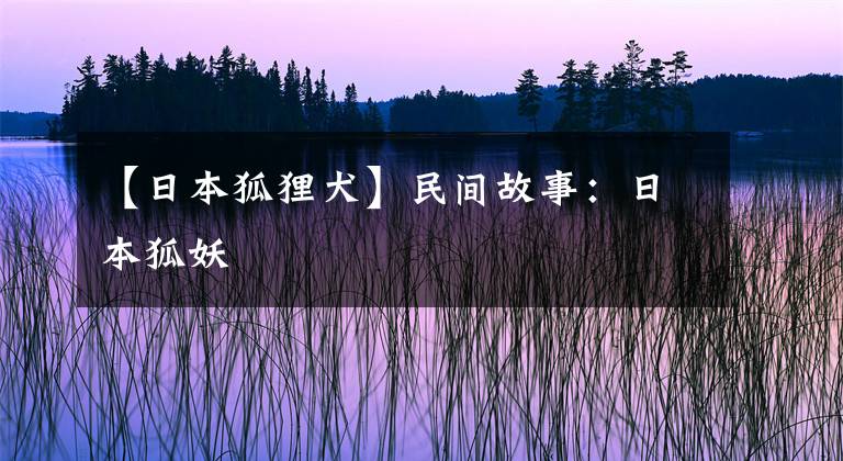【日本狐狸犬】民间故事：日本狐妖