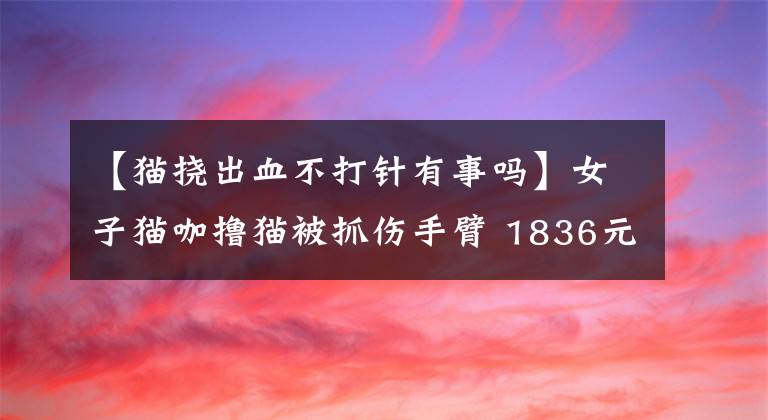 【猫挠出血不打针有事吗】女子猫咖撸猫被抓伤手臂 1836元接种费谁承担
