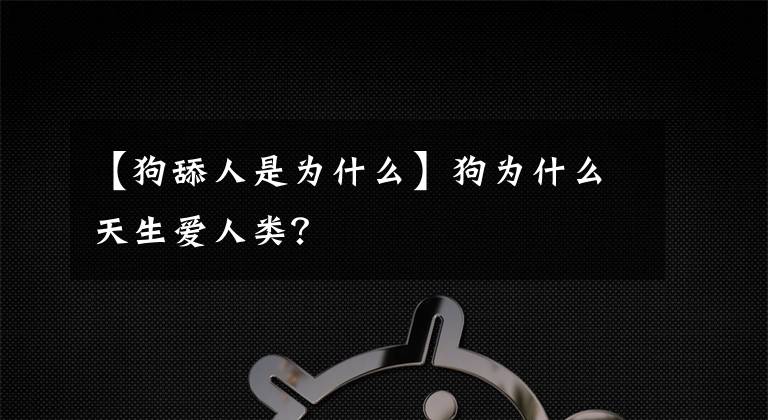 【狗舔人是为什么】狗为什么天生爱人类？