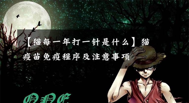 【猫每一年打一针是什么】猫疫苗免疫程序及注意事项