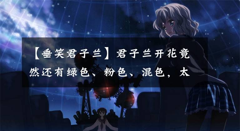 【垂笑君子兰】君子兰开花竟然还有绿色、粉色、混色，太漂亮了！