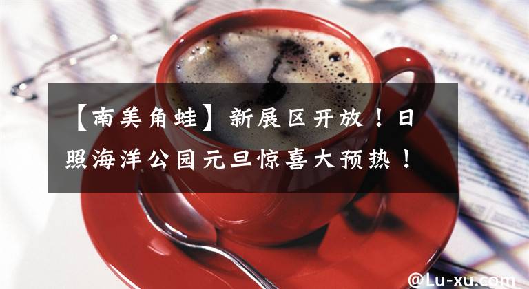 【南美角蛙】新展区开放！日照海洋公园元旦惊喜大预热！