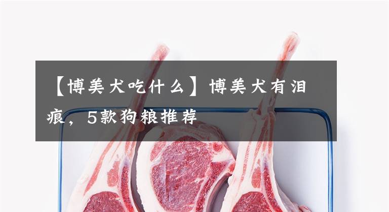 【博美犬吃什么】博美犬有泪痕，5款狗粮推荐