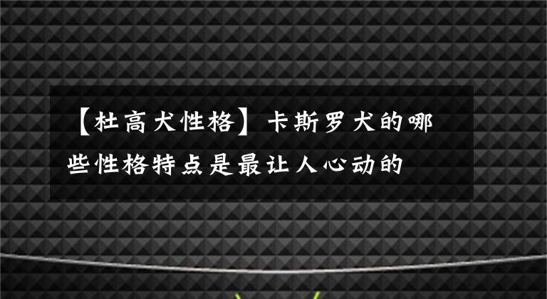 【杜高犬性格】卡斯罗犬的哪些性格特点是最让人心动的