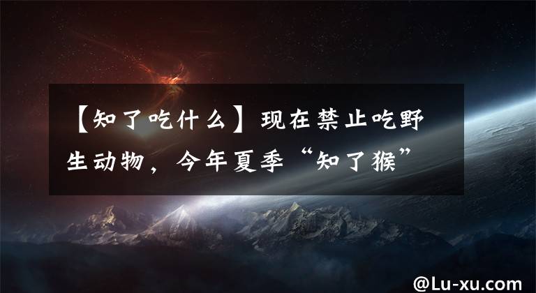 【知了吃什么】现在禁止吃野生动物，今年夏季“知了猴”还能吃吗？有危害吗？