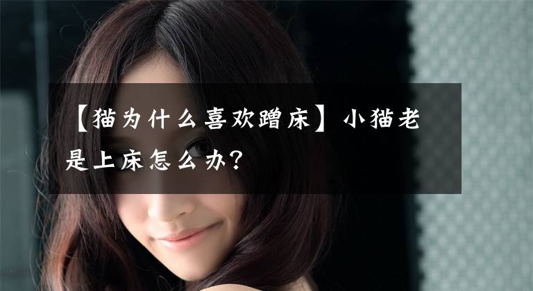 【猫为什么喜欢蹭床】小猫老是上床怎么办？
