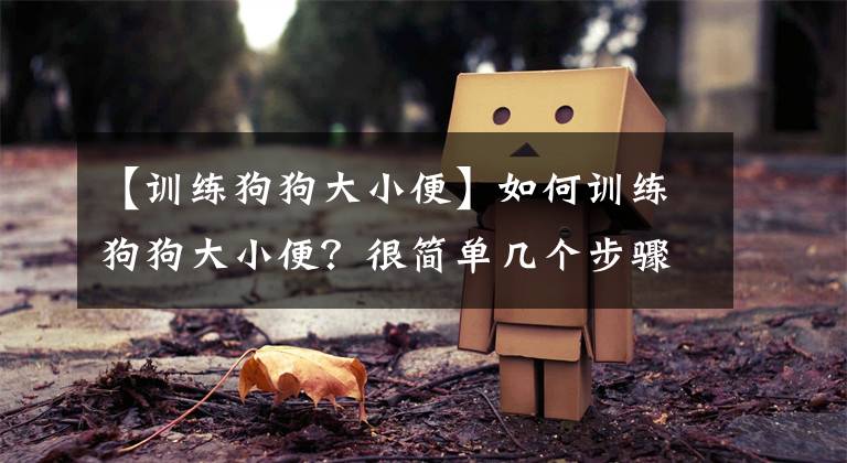 【训练狗狗大小便】如何训练狗狗大小便？很简单几个步骤就行