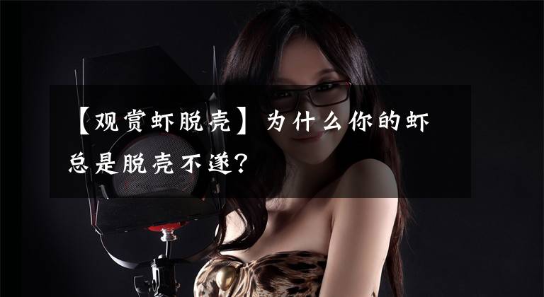 【观赏虾脱壳】为什么你的虾总是脱壳不遂？