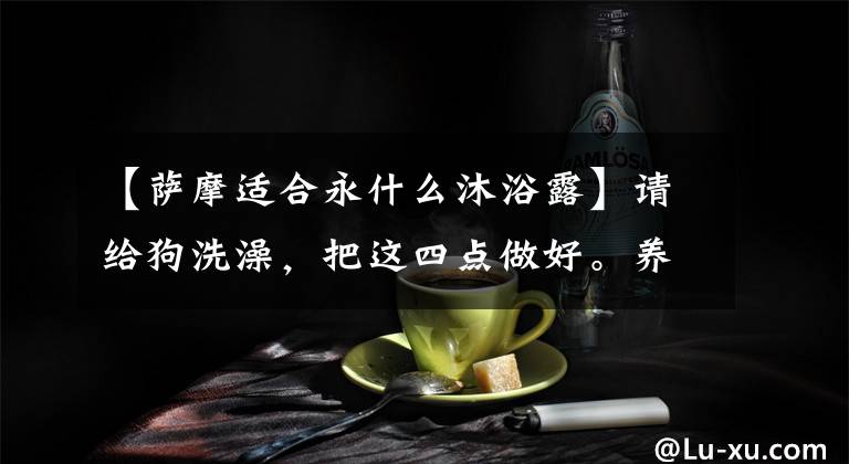 【萨摩适合永什么沐浴露】请给狗洗澡，把这四点做好。养小狗毛没有烦恼！