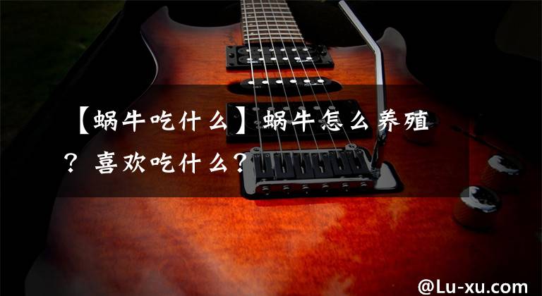 【蜗牛吃什么】蜗牛怎么养殖？喜欢吃什么？