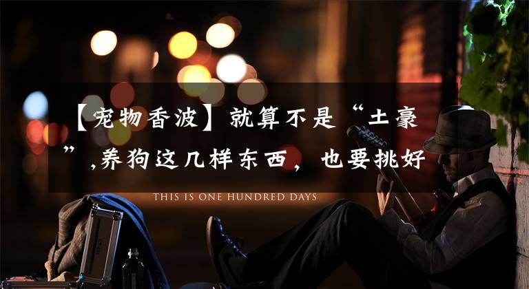 【宠物香波】就算不是“土豪”,养狗这几样东西，也要挑好的买