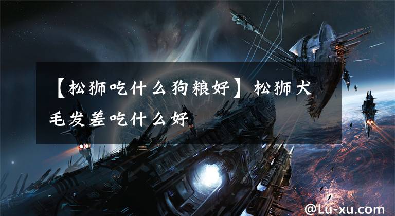 【松狮吃什么狗粮好】松狮犬毛发差吃什么好