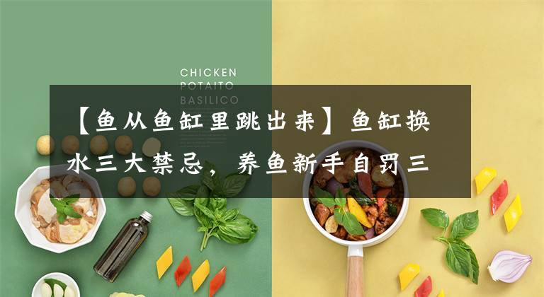 【鱼从鱼缸里跳出来】鱼缸换水三大禁忌，养鱼新手自罚三杯，养鱼高手您请随意