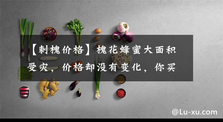 【刺槐价格】槐花蜂蜜大面积受灾，价格却没有变化，你买的蜂蜜多钱一斤？