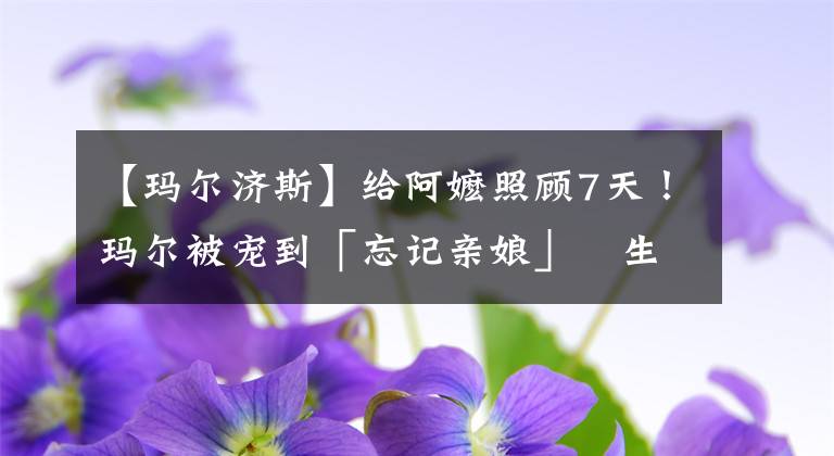 【玛尔济斯】给阿嬷照顾7天！玛尔被宠到「忘记亲娘」　生气汪汪叫：别碰我