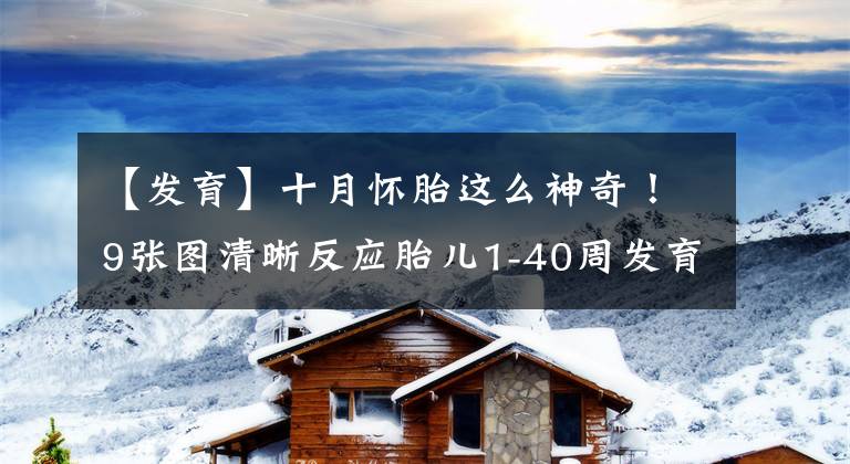 【发育】十月怀胎这么神奇！9张图清晰反应胎儿1-40周发育全过程