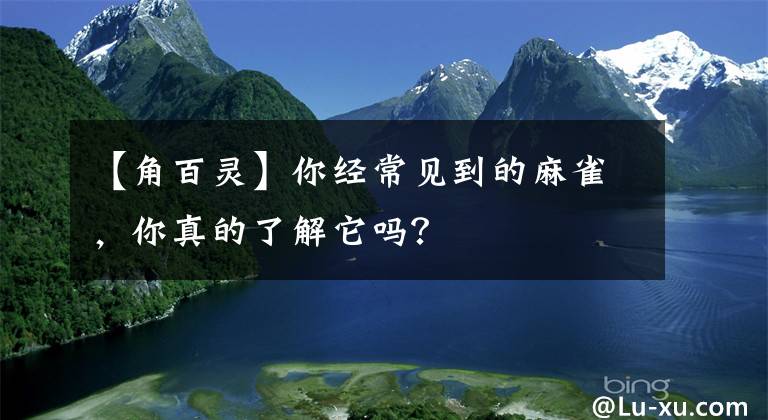 【角百灵】你经常见到的麻雀，你真的了解它吗？