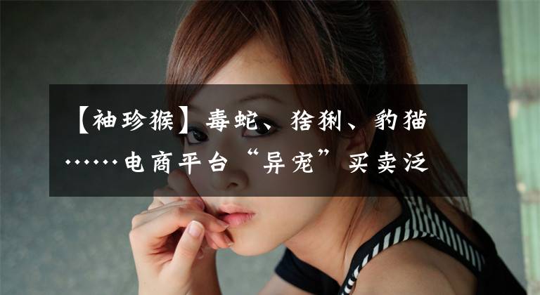 【袖珍猴】毒蛇、猞猁、豹猫……电商平台“异宠”买卖泛滥！卖家明知违法但为了“高风险有高回报”
