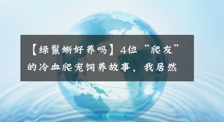 【绿鬣蜥好养吗】4位“爬友”的冷血爬宠饲养故事，我居然有被暖到