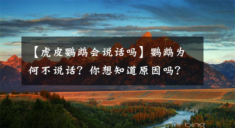 【虎皮鹦鹉会说话吗】鹦鹉为何不说话？你想知道原因吗？请让我来告诉你