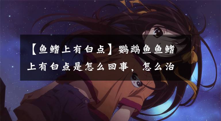 【鱼鳍上有白点】鹦鹉鱼鱼鳍上有白点是怎么回事，怎么治疗