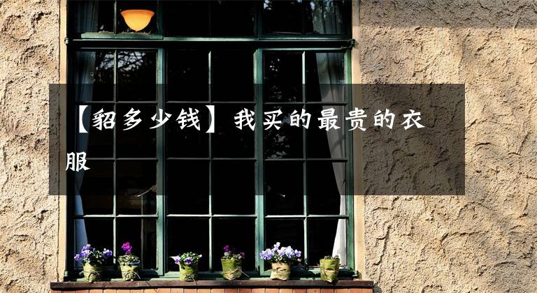 【貂多少钱】我买的最贵的衣服