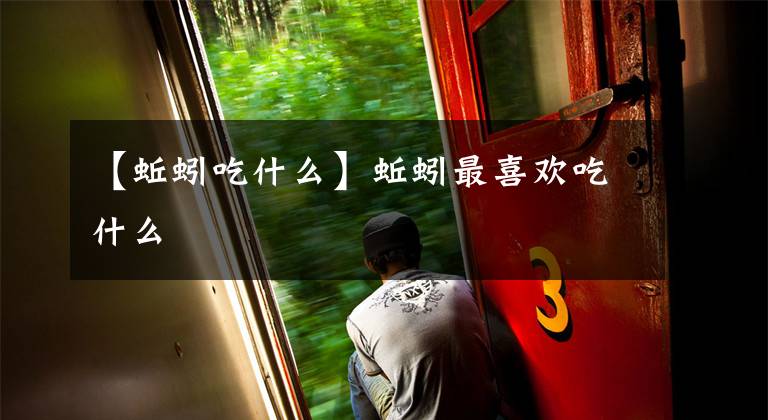 【蚯蚓吃什么】蚯蚓最喜欢吃什么